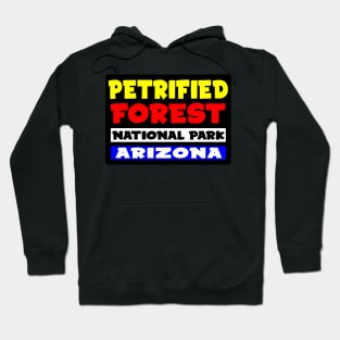 PETRIFIED FOREST NATIONAL PARK ARIZONA Hoodie